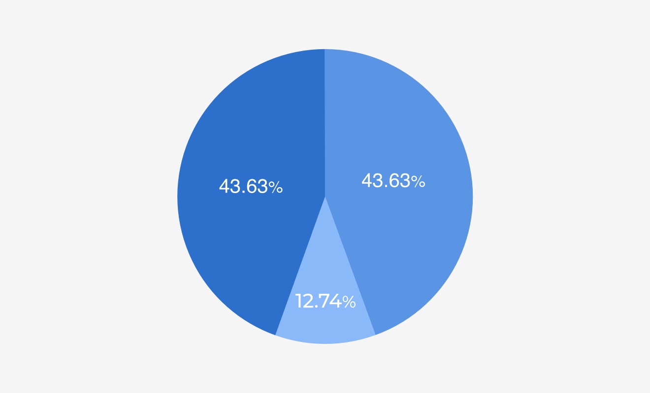 Shareholder Structure 